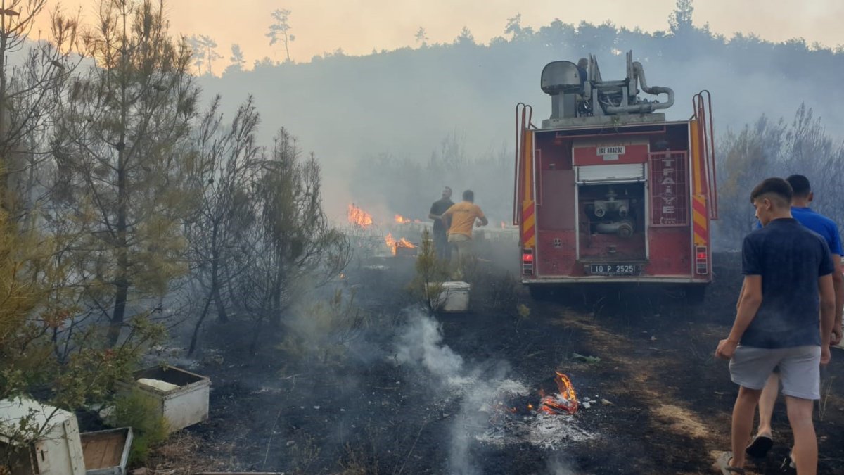 Orman yangınına giden ekiplere arılar saldırdı