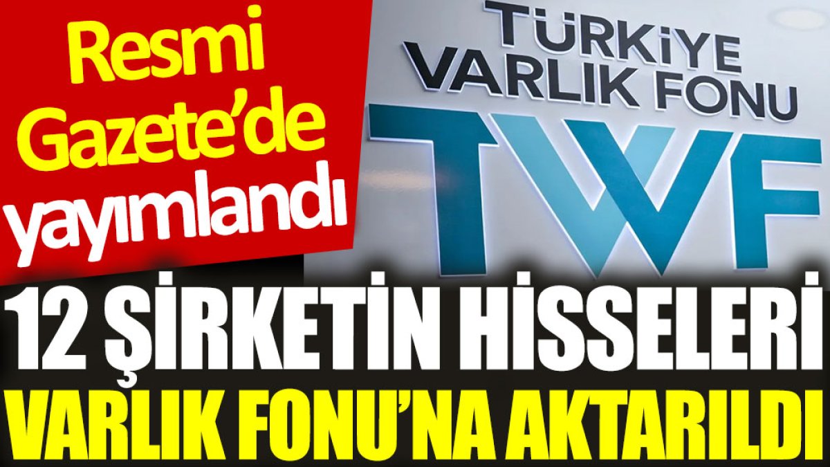 12 şirketin hisseleri Varlık Fonu'na aktarıldı