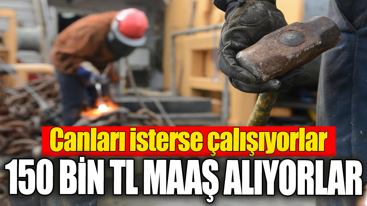 150 bin TL maaş alıyorlar. Canları isterse çalışıyorlar