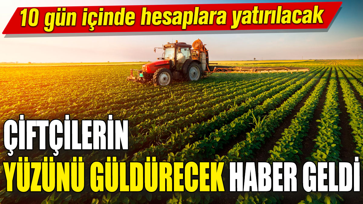 Çiftçilerin yüzünü güldürecek haber geldi! 10 gün içinde hesaplara yatırılacak