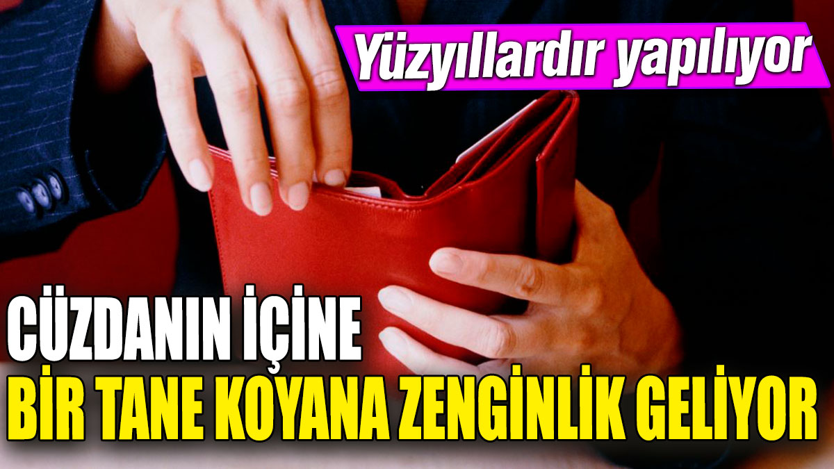 Cüzdanın içine bir tane koyana zenginlik geliyor! Yüzyıllardır yapılıyor