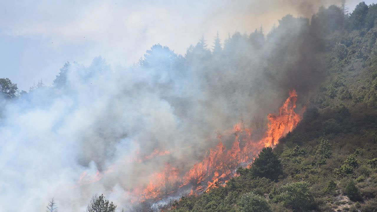 Afyonkarahisar'da orman yangını!