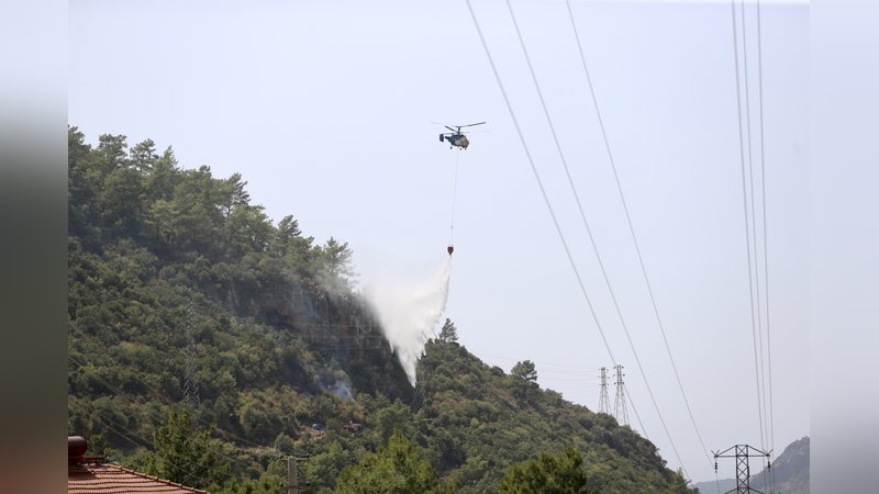 Muğla'da orman yangını