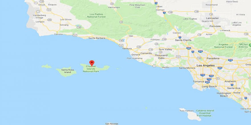 ABD’de yolcu gemisinde yangın: 34 ölü