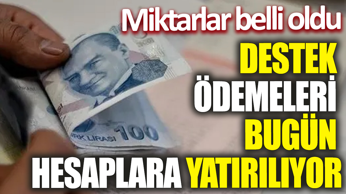 Destek ödemeleri bugün hesaplara yatırılıyor! Miktarlar belli oldu