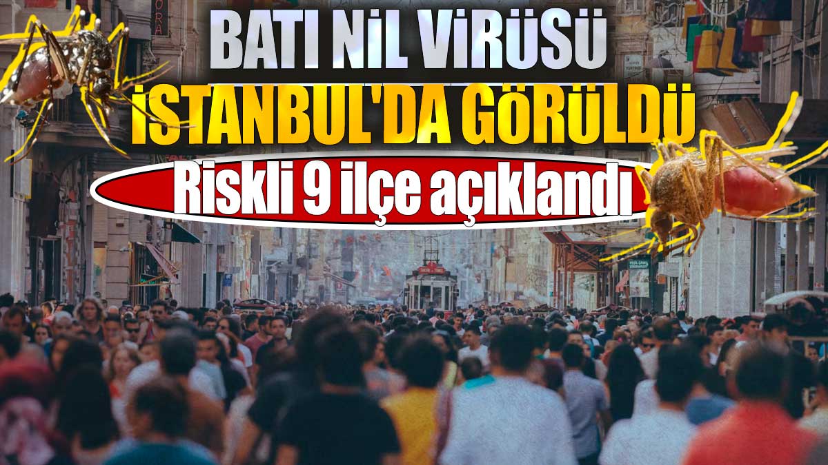 Batı Nil Virüsü İstanbul'da görüldü. Riskli 9 ilçe açıklandı