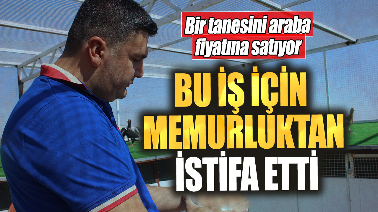 Bu iş için memurluktan istifa etti! Bir tanesini araba fiyatına satıyor