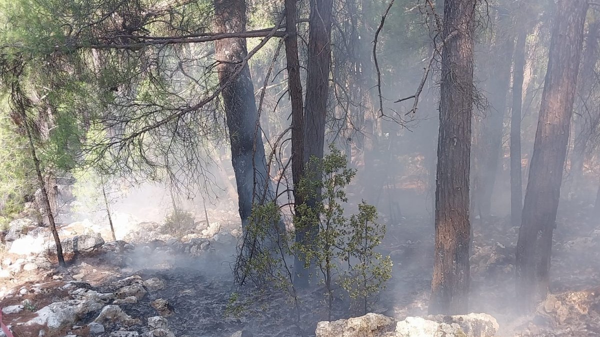 Yıldırım düşmesiyle orman yangını çıktı