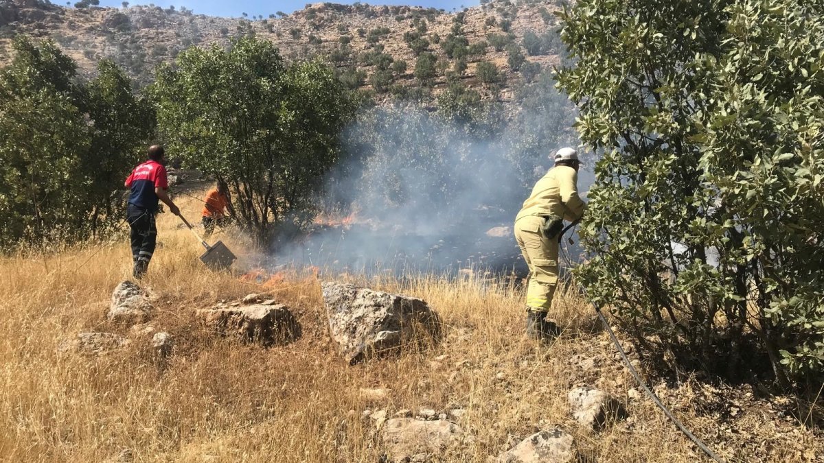 Mardin’de meydana gelen orman yangını söndürüldü