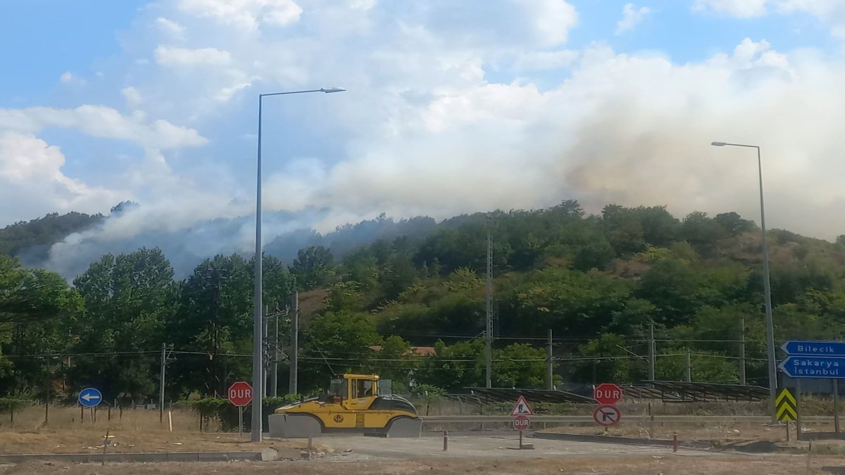 Otluk alanda çıkan yangın söndürüldü