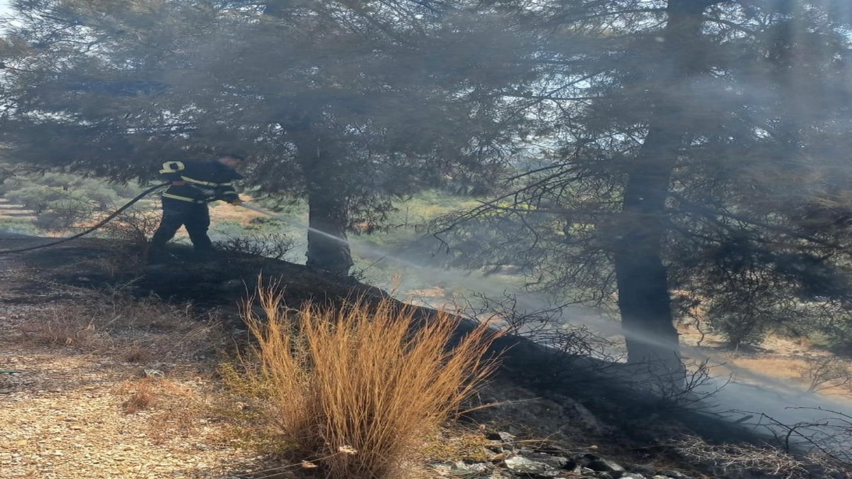 Hatay'da örtü yangını paniğe neden oldu