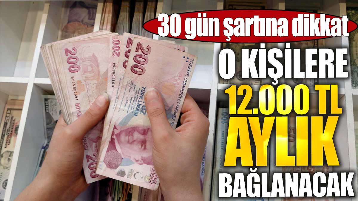 O kişilere 12.000 TL aylık bağlanacak. 30 gün şartına dikkat