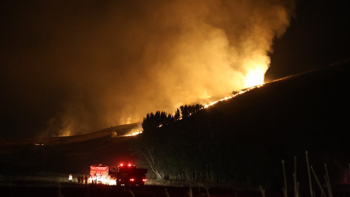 Sivas'ta orman yangını