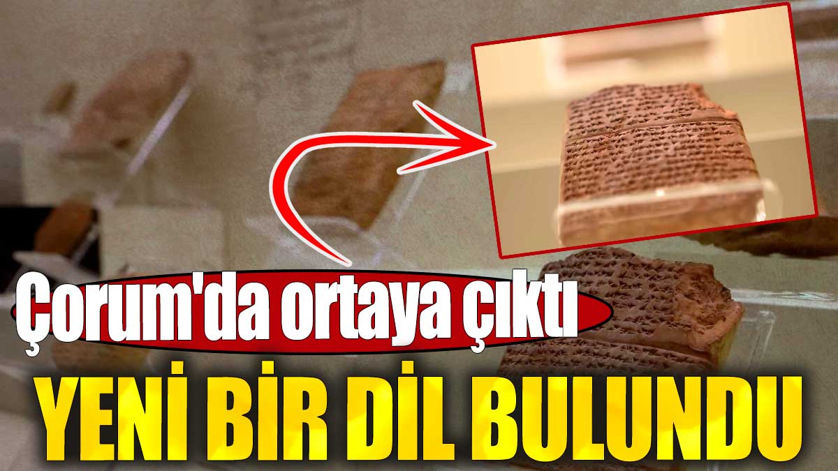 Yeni bir dil bulundu. Çorum'da ortaya çıktı