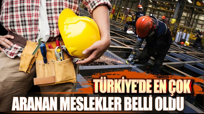 Türkiye'de en çok aranan meslekler açıklandı