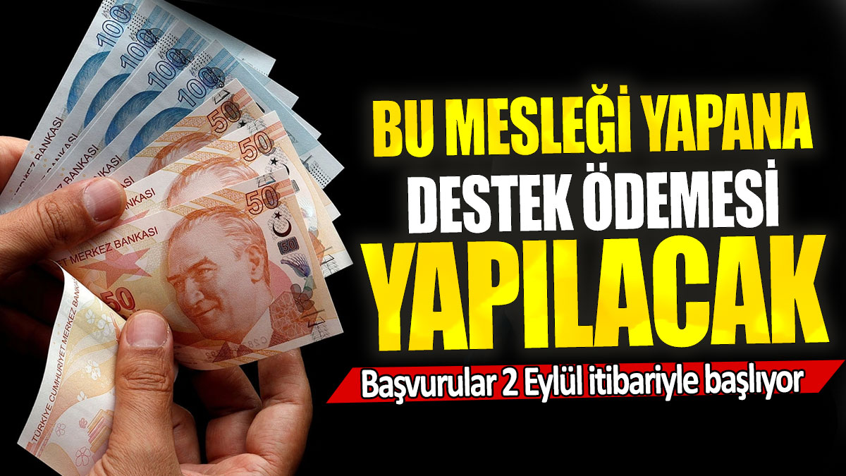 Bu mesleği yapana destek ödemesi yapılacak: Başvurular 2 Eylül itibariyle başlıyor