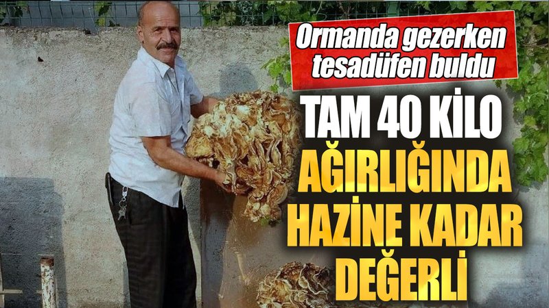 Ormanda gezerken tesadüfen buldu! Tam 40 kilo ağırlığında hazine kadar değerli