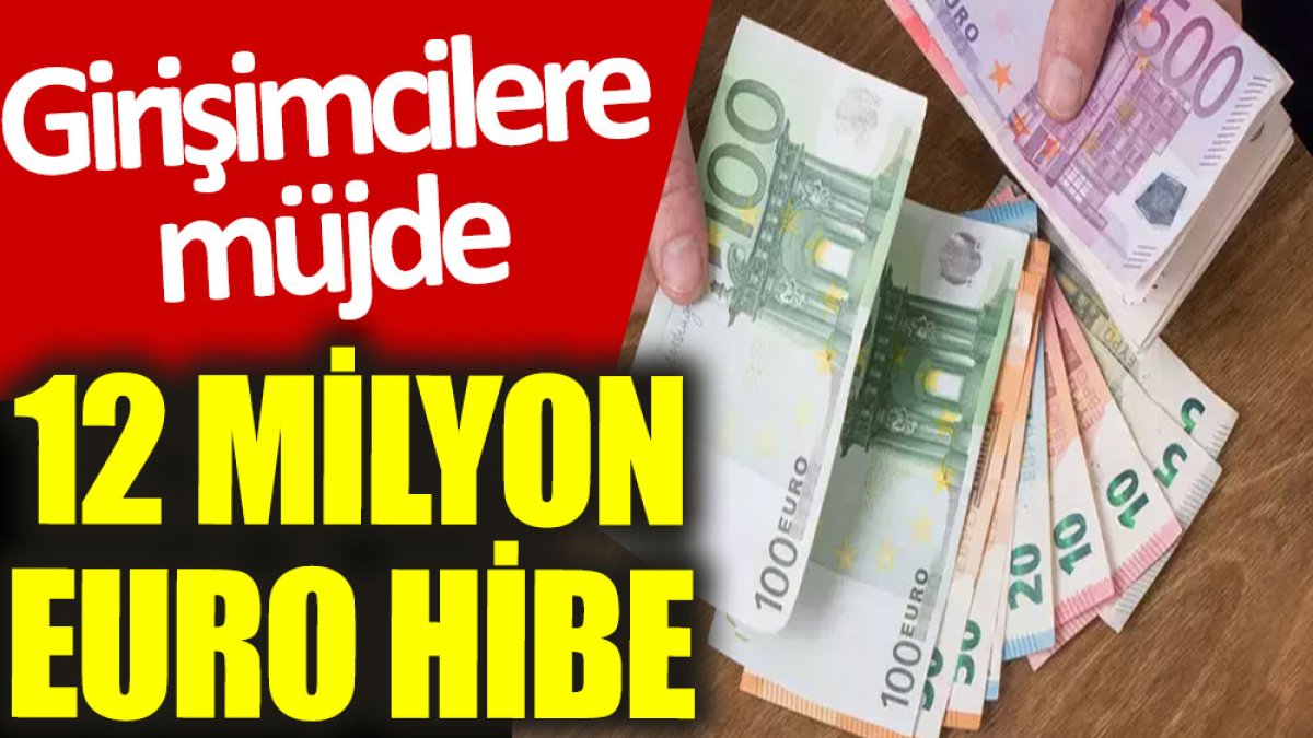 Girişimcilere müjde: 12 milyon Euro hibe