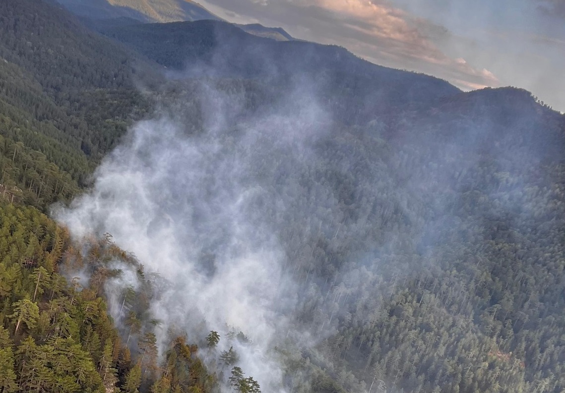 Kütahya’da orman yangını