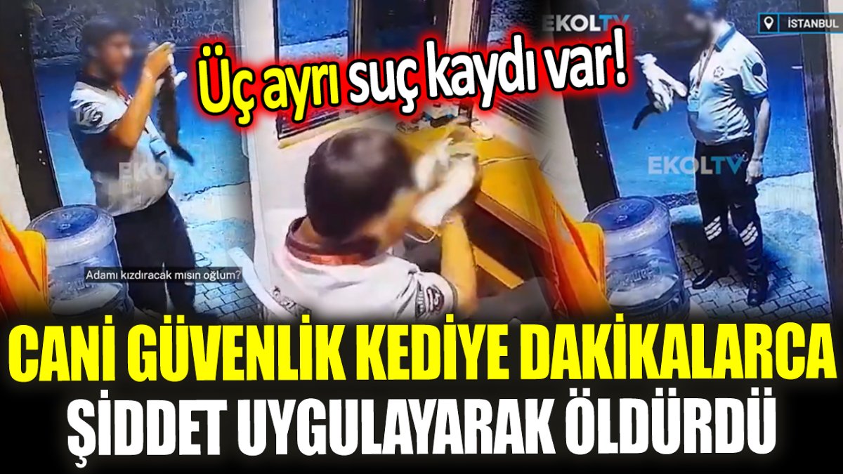 Başakşehir'de cani güvenlik! Kediye dakikalarca şiddet uygulayarak öldürdü 'Üç ayrı suç kaydı var'