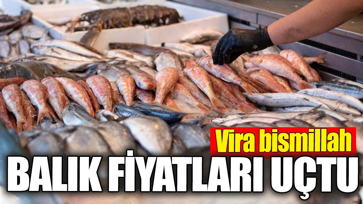 Balık fiyatları uçtu. Vira bismillah