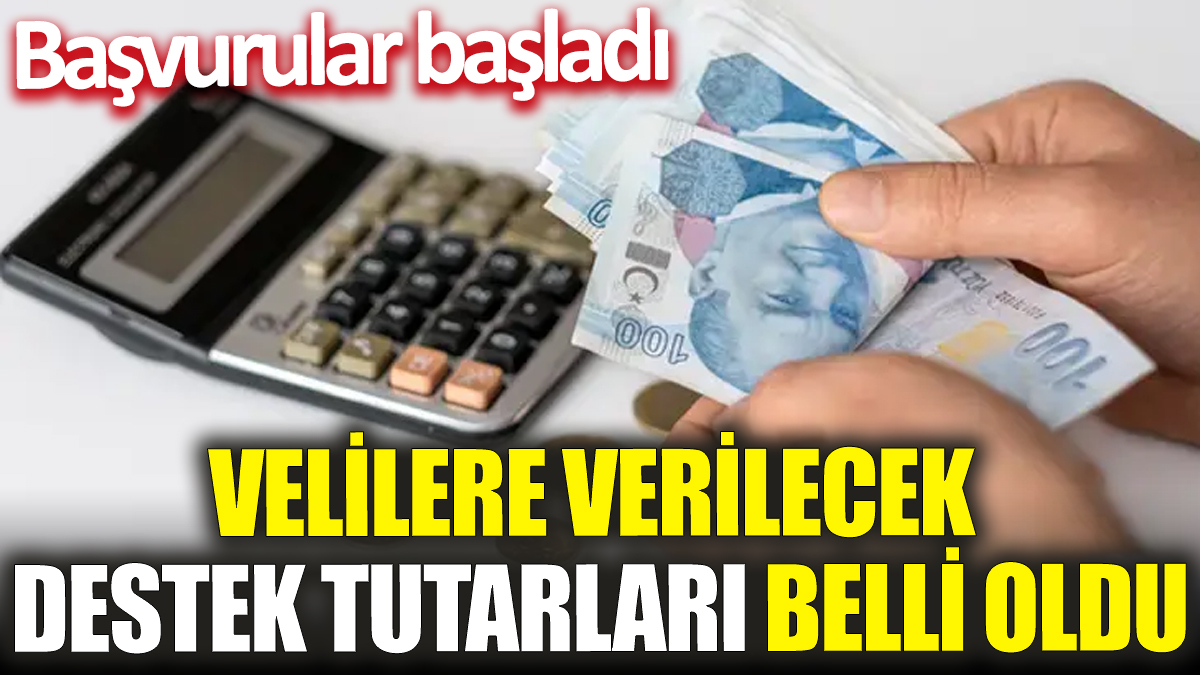 Velilere verilecek destek tutarları belli oldu! Başvurular başladı