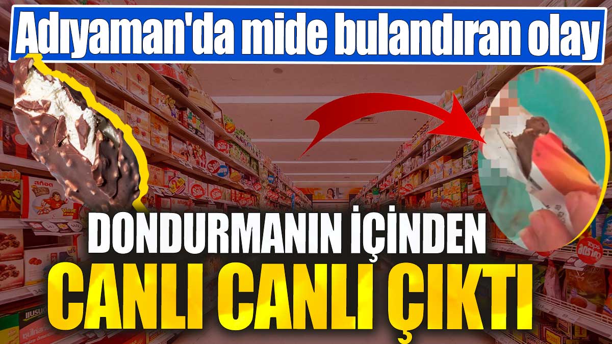 Dondurmanın içinden canlı canlı çıktı. Adıyaman'da mide bulandıran olay