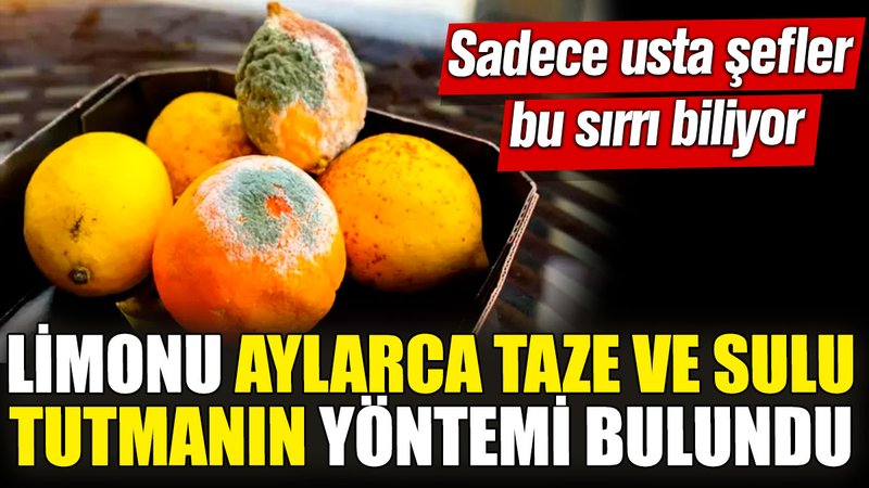 Limonu aylarca taze ve sulu tutmanın yöntemi bulundu! Sadece usta şefler bu sırrı biliyor