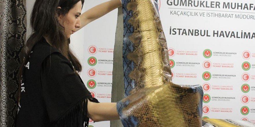 İstanbul Havalimanı'nda 320 bin liralık yılan derisi ele geçirildi
