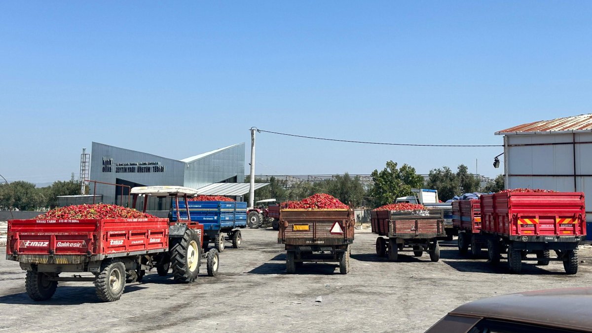 Tonlarca biber elde kaldı