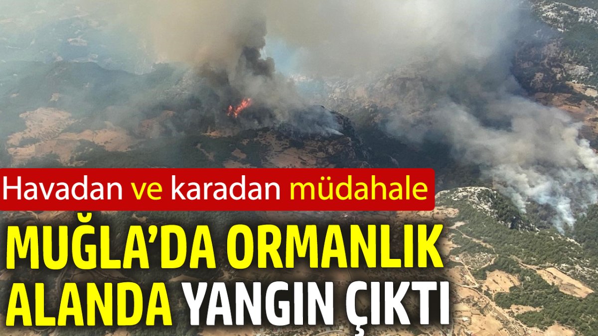 Muğla’da ormanlık alanda yangın çıktı ‘Havadan ve karadan müdahale’