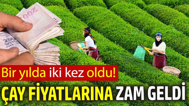Çay fiyatlarına zam geldi! ‘Bir yılda iki kez oldu’