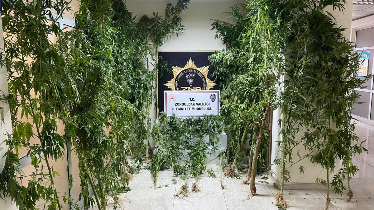 Zonguldak'ta uyuşturucu operasyonunda 8 kişi tutuklandı