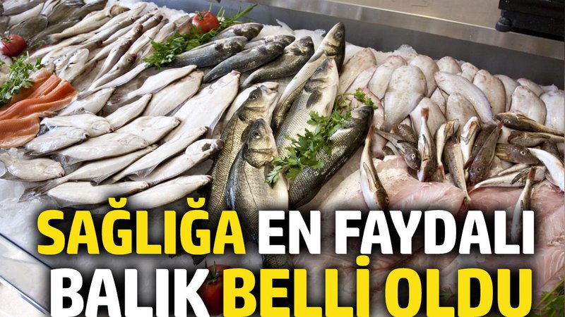 Sağlığa en faydalı balık belli oldu