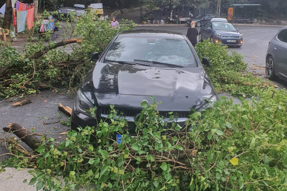 Sarıyer'de iki aracın üzerine ağaç devrildi