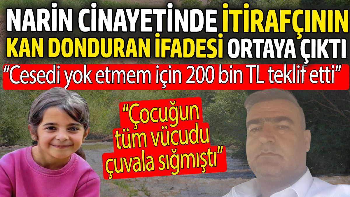 Narin cinayetinde itirafçının kan donduran ifadesi ortaya çıktı: Cesedi yok etmem için 200 bin TL teklif etti