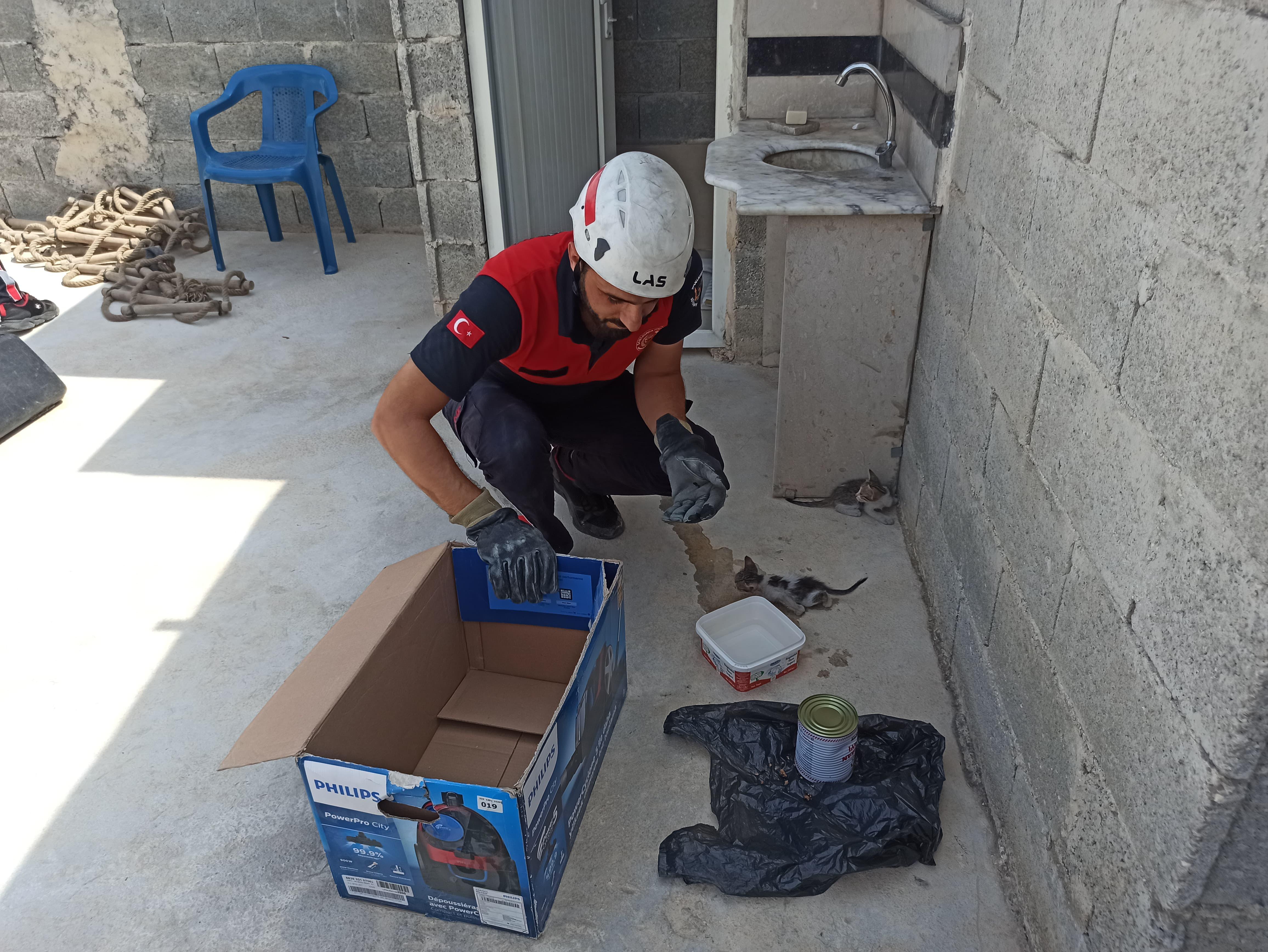 Havalandırma boşluğuna düşen yavru kediler kurtarıldı