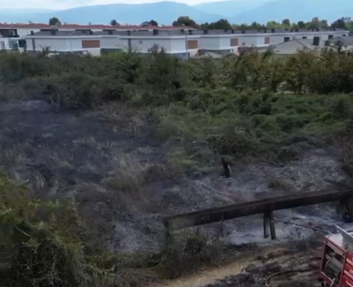 Düzce'de anız yangını (9 Eylül 2024)