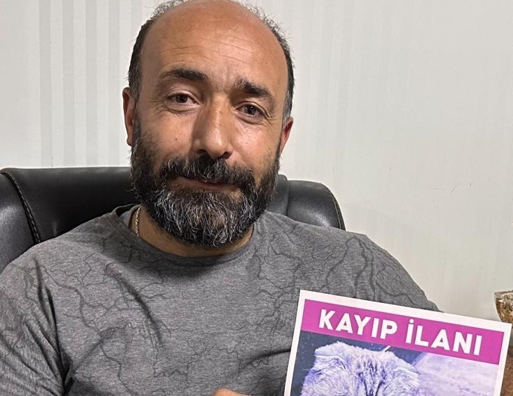 Malatya'da kaybolan kediyi bulana 15 bin TL ödül