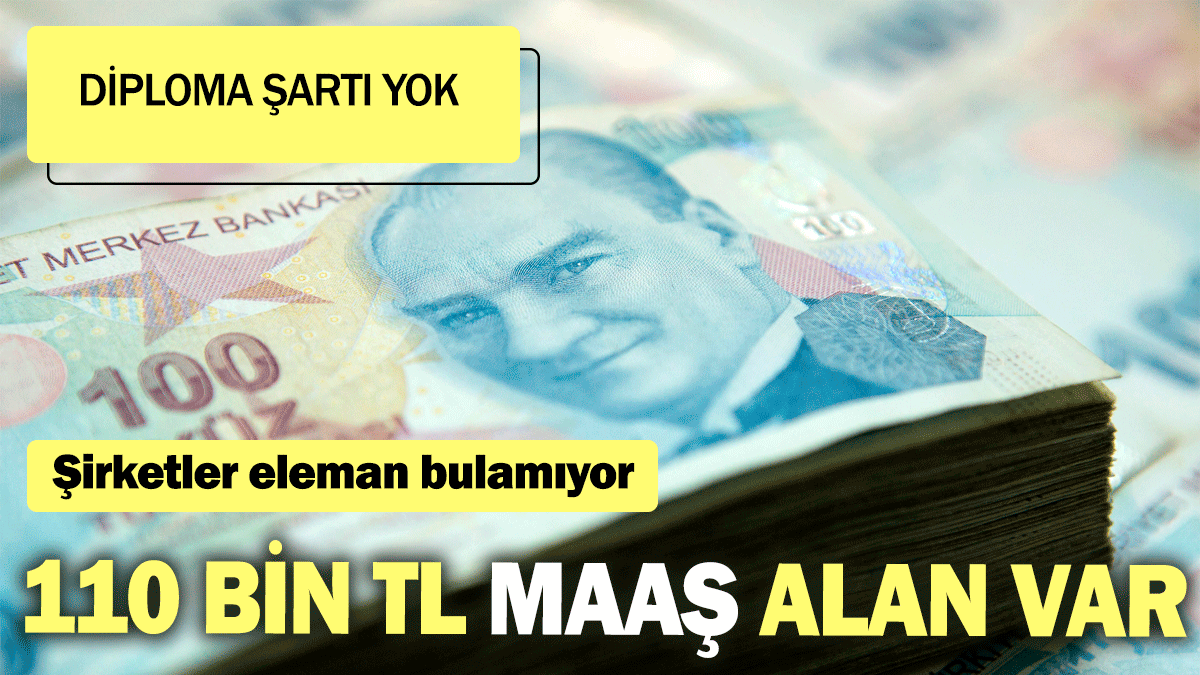 110 bin TL maaş alan var: Diploma şartı yok: Şirketler eleman bulamıyor