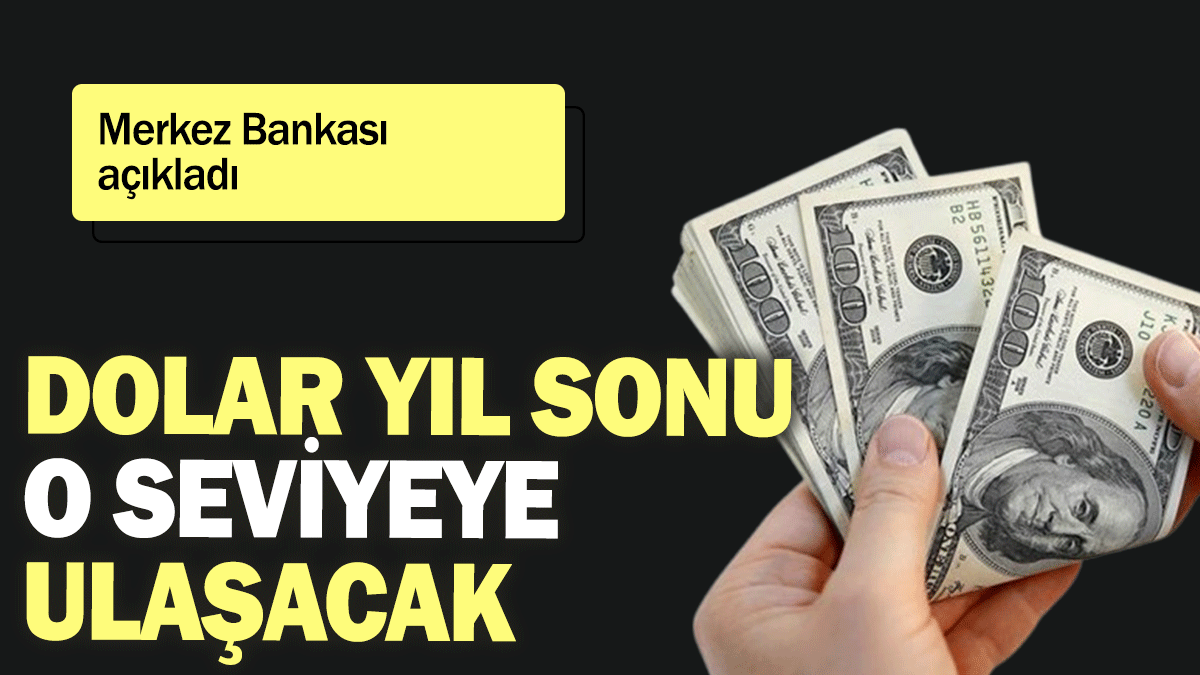 Merkez Bankası açıkladı: Dolar yıl sonu o seviyeye ulaşacak