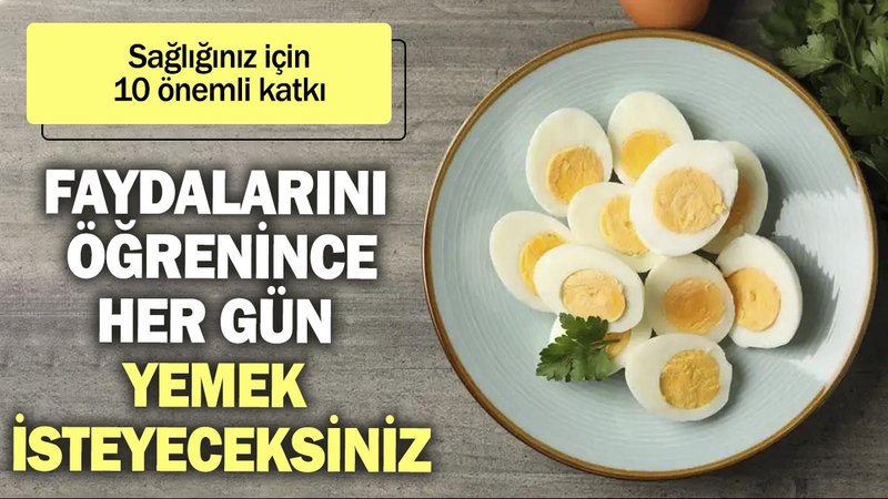 Faydalarını öğrenince her gün yemek isteyeceksiniz. Sağlığınız için 10 önemli katkı