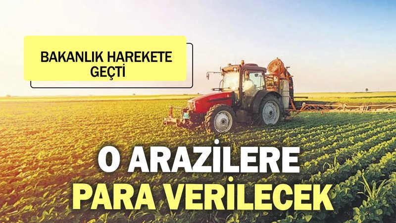 O arazilere para verilecek. Bakanlık harekete geçti