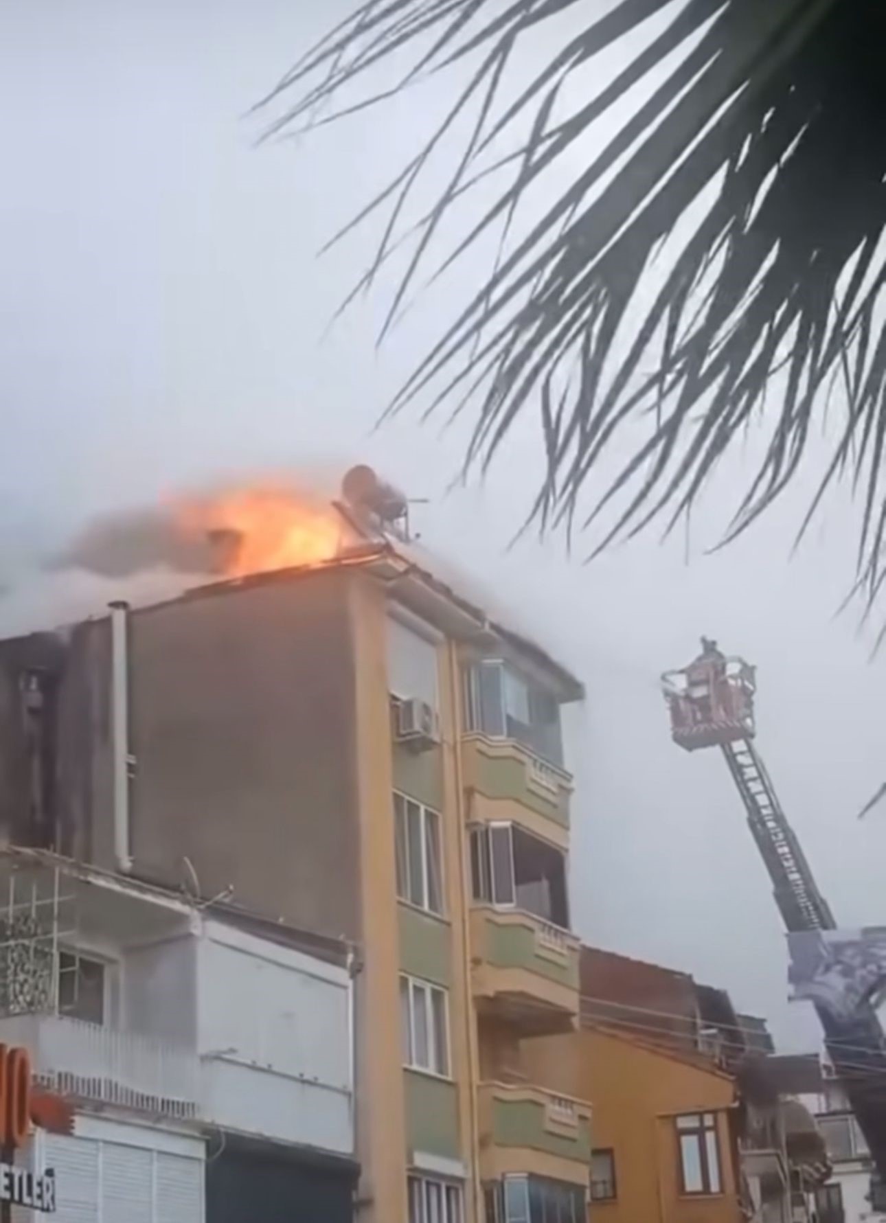 Gemlik'te 4 katlı binanın çatı katında yangın