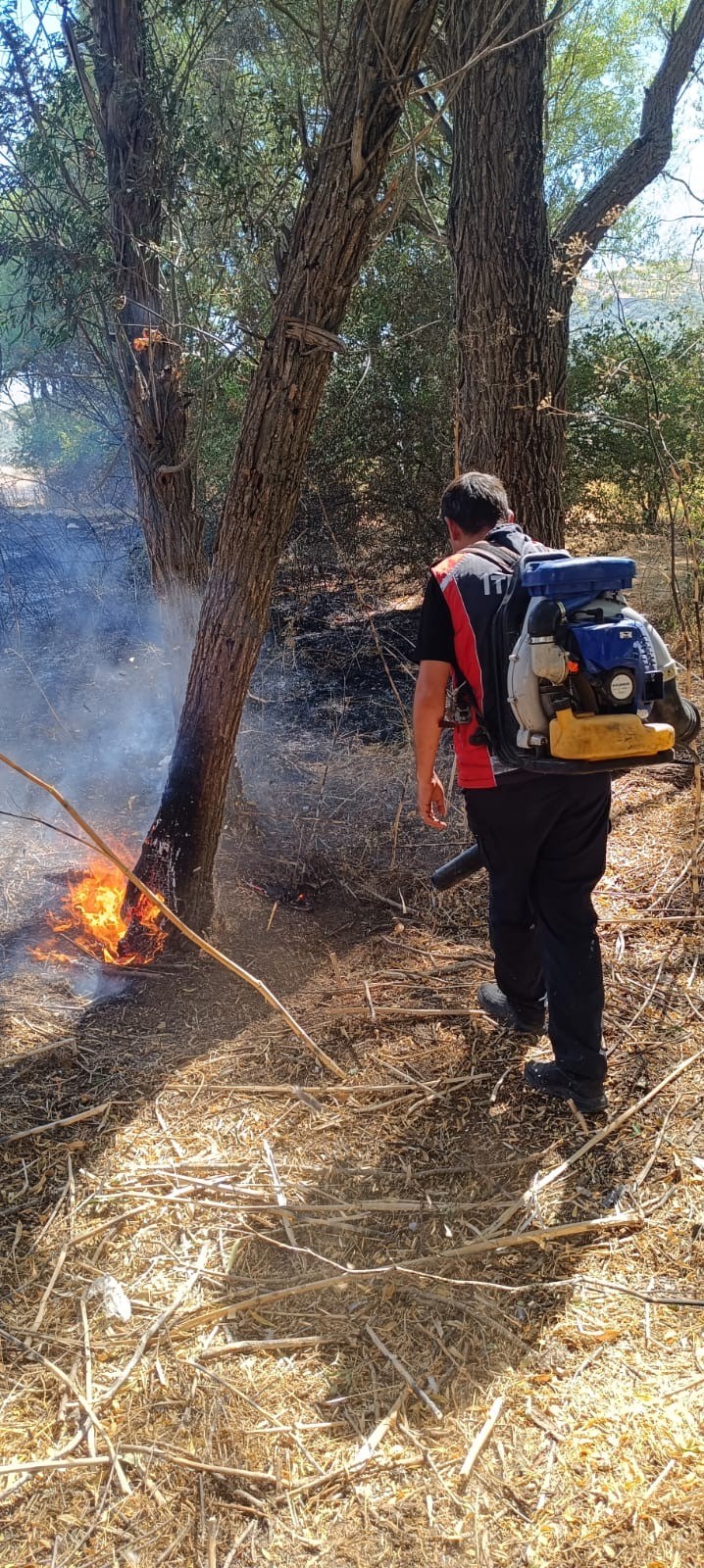 Mardin’de ormanlık alanda çıkan yangın kontrol altına alındı