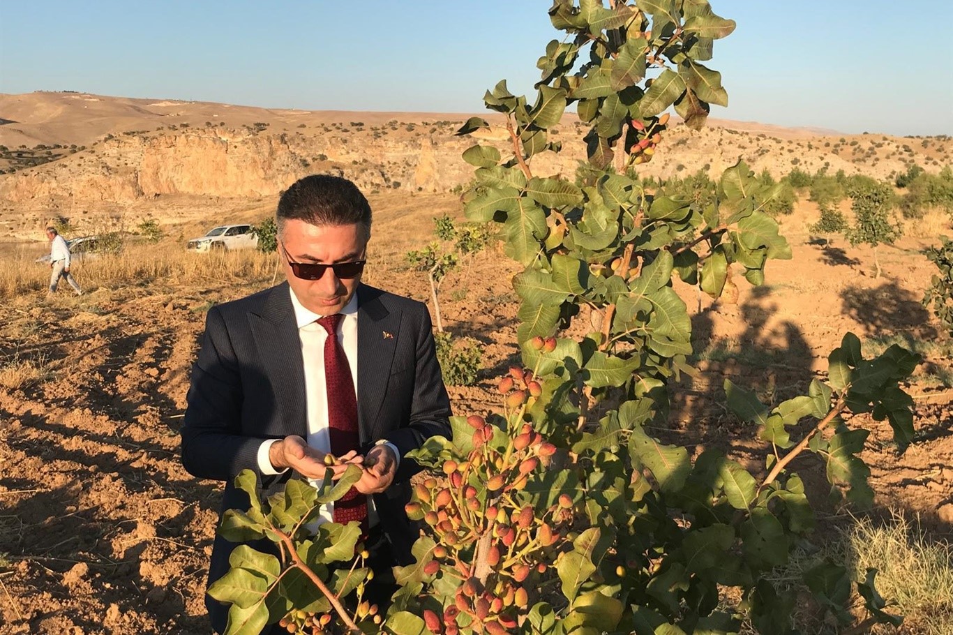 Batman Üniversitesi fıstıkların gelirini öğrencilere verecek