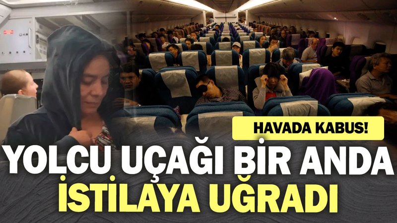 Yolcu uçağı bir anda istilaya uğradı! Havada kabus!