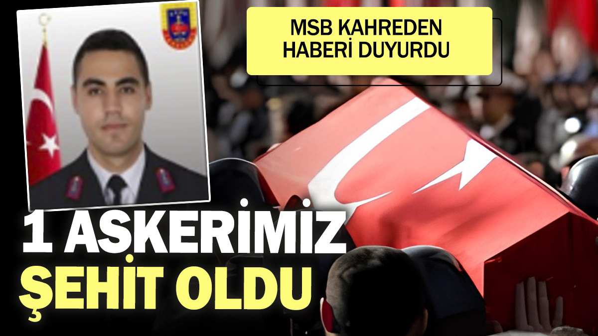 Son Dakika! 1 askerimiz şehit oldu