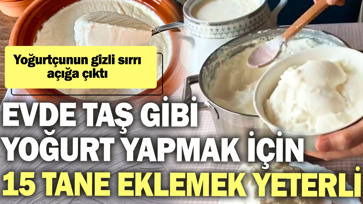 Evde taş gibi yoğurt yapmak için 15 tane eklemek yeterli! Yoğurtçunun gizli sırrı açığa çıktı