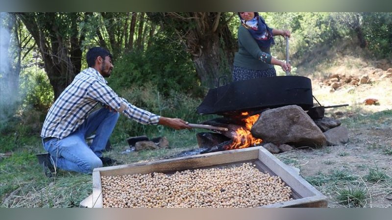 Tarladan sofraya 'Ağın leblebisi'nin lezzet yolculuğu